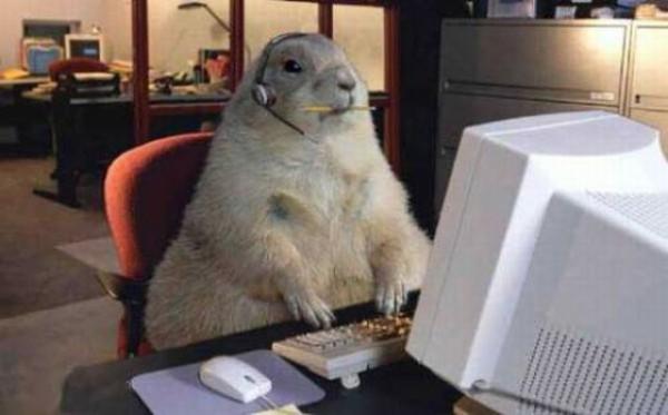 Marmot typing